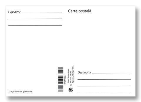 IM0169 „Păsări cântătoare din arealul Moldovei” (ilustrată maximă „Gaiță. Garrulus glandarius.” )