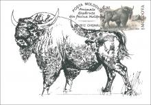 IM0064 ”Animale dispărute din fauna Moldovei” /”Bizon. Bison.”, marca MP0749/