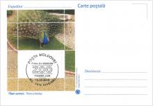 IM0079 (verso) ”Grădina Zoologică din Chișinău.” /”Păun comun. Pavocristatus.”/
