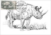 IM0067 ”Animale dispărute din fauna Moldovei” /”Rinocer. Stephanorhinus.”, marca MP0752/