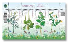 MP1420-1423 „Natura vindecătoare. Plante medicinale.” (coala mică)