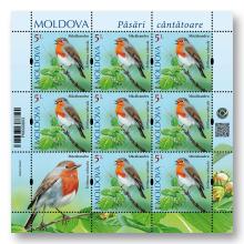 MP1417 „Songbirds from the Territory of Moldova” (sheet „European robin. Erithacus rubecula.”)