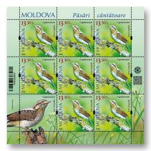 MP1418 „Songbirds from the Territory of Moldova” (sheet „Eurasian wryneck. Jynx torquilla.”)