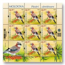 MP1419 „Songbirds from the Territory of Moldova” (sheet „Eurasian jay. Garrulus glandarius.”)