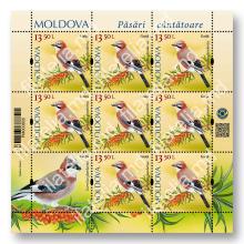 MP1419 „Păsări cântătoare din arealul Moldovei” (coală „Gaiță. Garrulus glandarius.”)