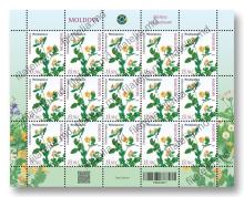 MP1423 „Natura vindecătoare. Plante medicinale.” (coala „Rostopasca. Chelidonium majus.”)