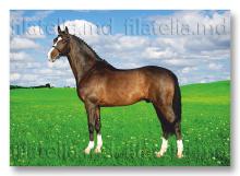 CPO18/2025 ”Rase de cai” (verso carte poștală ordinară ”Pur sânge englez”)