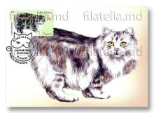 IM0170 „Pisici de rasă” (verso ilustrată maximă „Cymrics”)