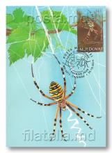 IM0152 ”Красная книга Республики Молдова” (обратная сторона, картмаксимум ”Аргиопа Брюнниха”)