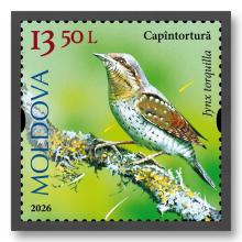 MP1418 „Songbirds from the Territory of Moldova” (stamp „Eurasian wryneck. Jynx torquilla.”)