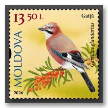 MP1419 „Songbirds from the Territory of Moldova” (stamp „Eurasian jay. Garrulus glandarius.”)