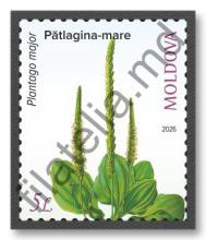 MP1421 „Natura vindecătoare. Plante medicinale.” (marca „Pătlagina-mare. Plantago major.”)