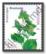 MP1422 „Natura vindecătoare. Plante medicinale.” (marca „Brusturele. Arctium lappa.”)