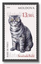 MP1428 „Pisici de rasă” (marca „Scottish Fold”)